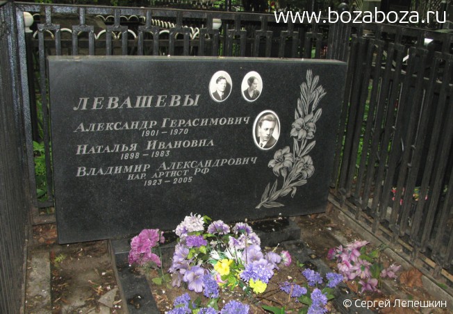 Левашев Владимир Александрович