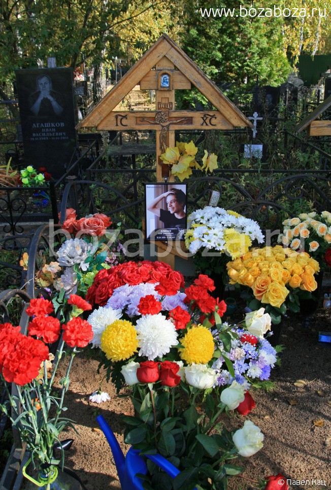 ������� ���� ����������