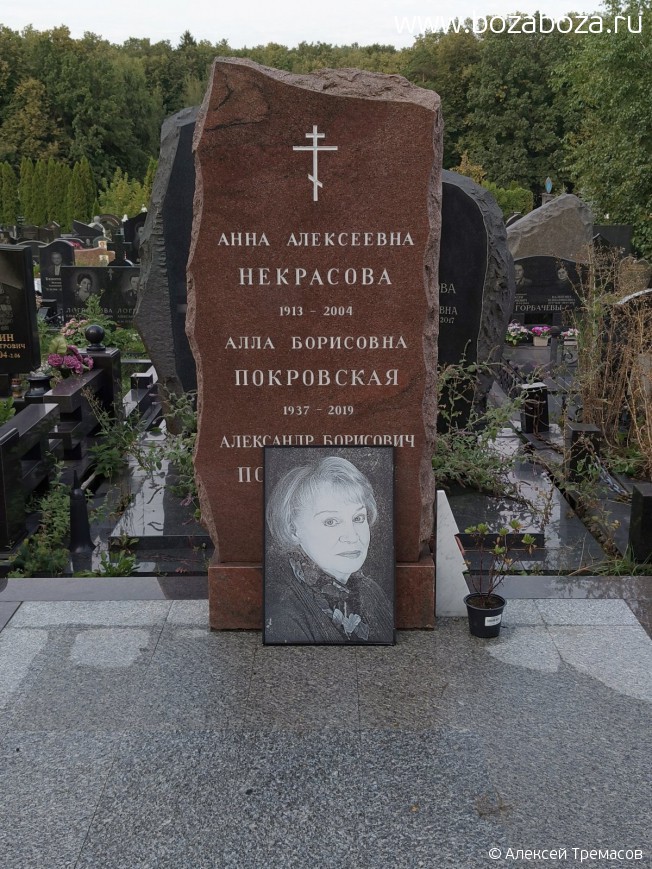 ���������� ���� ���������