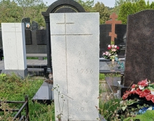 ������ ������ �������