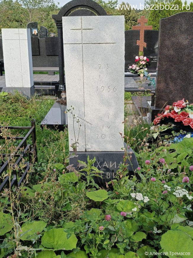 ������ ������ �������