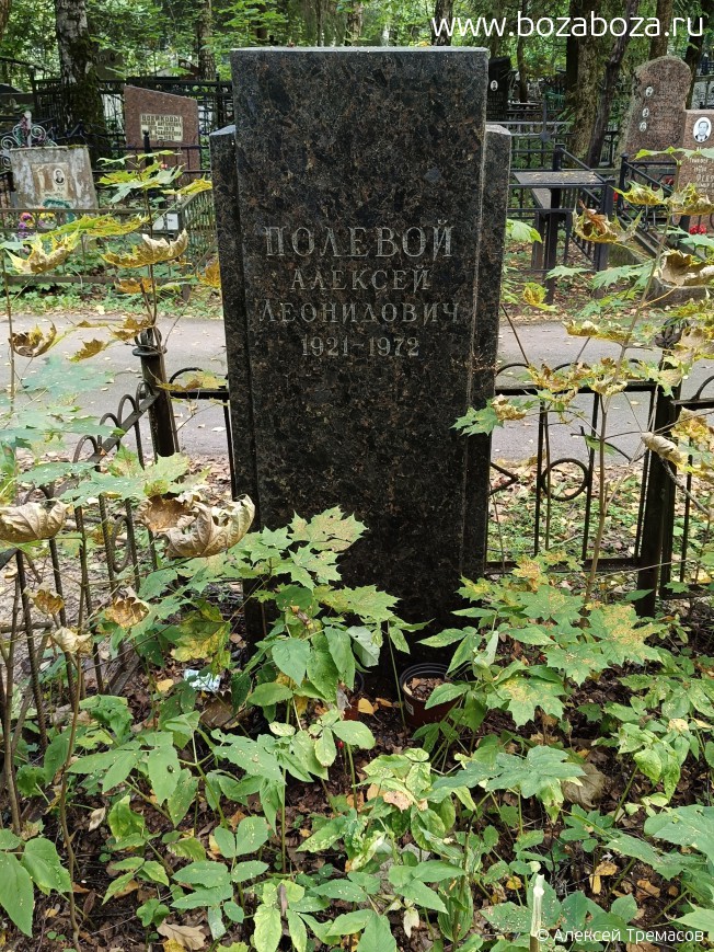 ������� ������� ����������