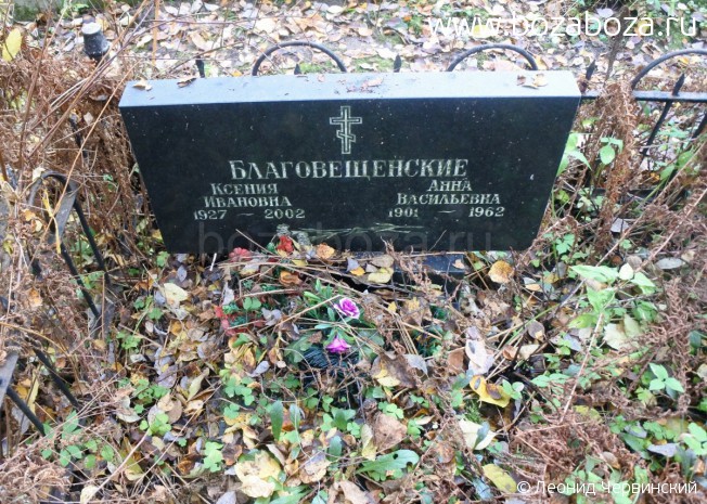 �������������� ������ ��������