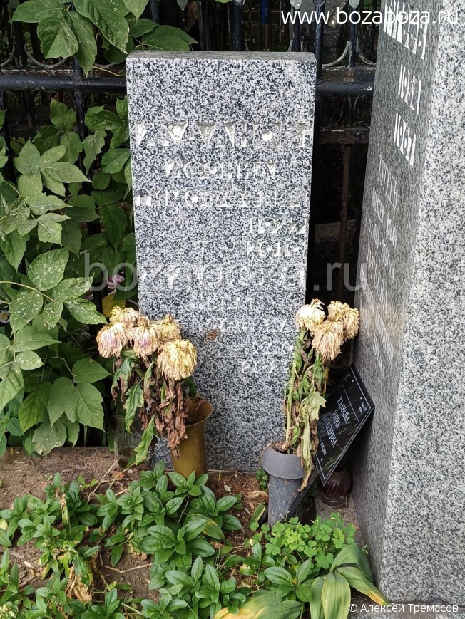 ������ ������ ����������