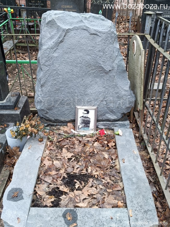 ������ ������ ���������