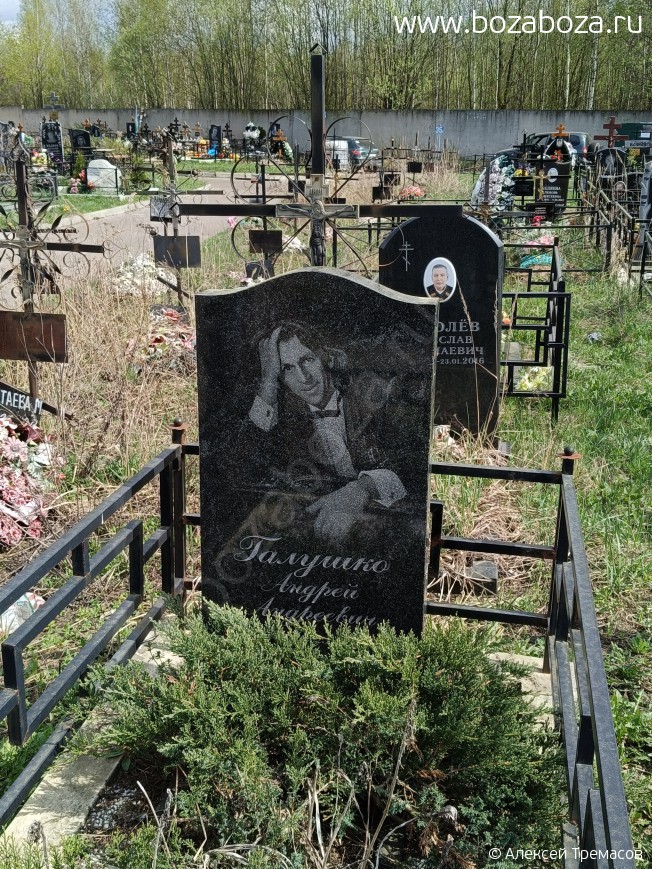 ������� ������ ���������