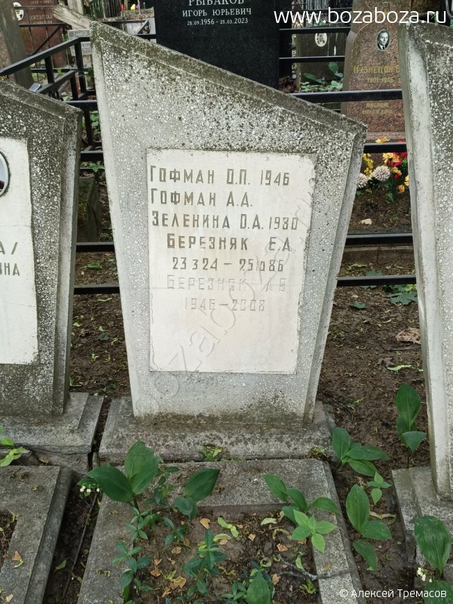 �������� ��������� ����������