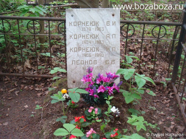 ������ ������� ����������