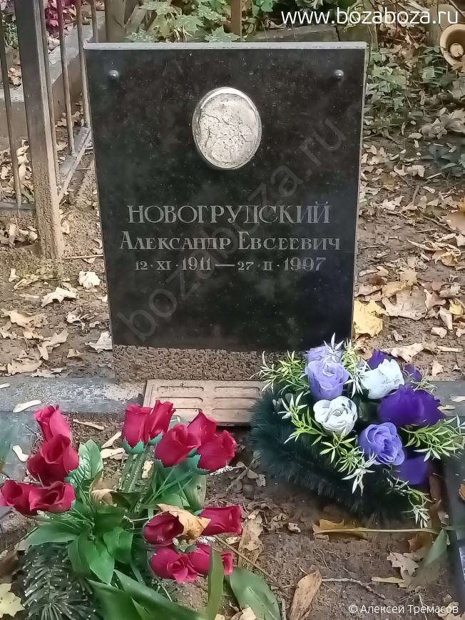 ������������ ��������� ��������