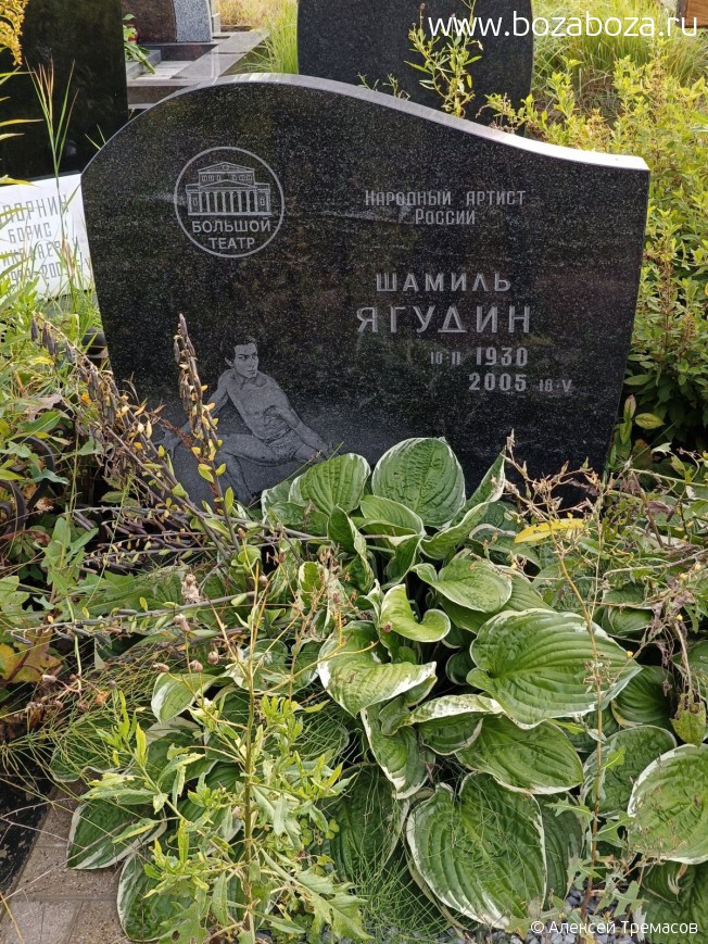 ������ ������ �����������