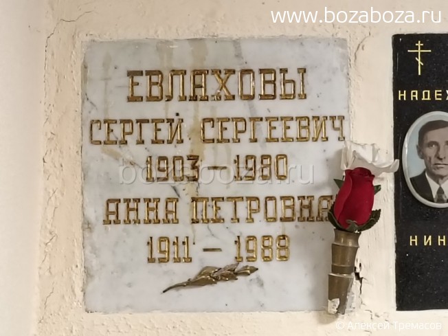 ������� ������ ���������