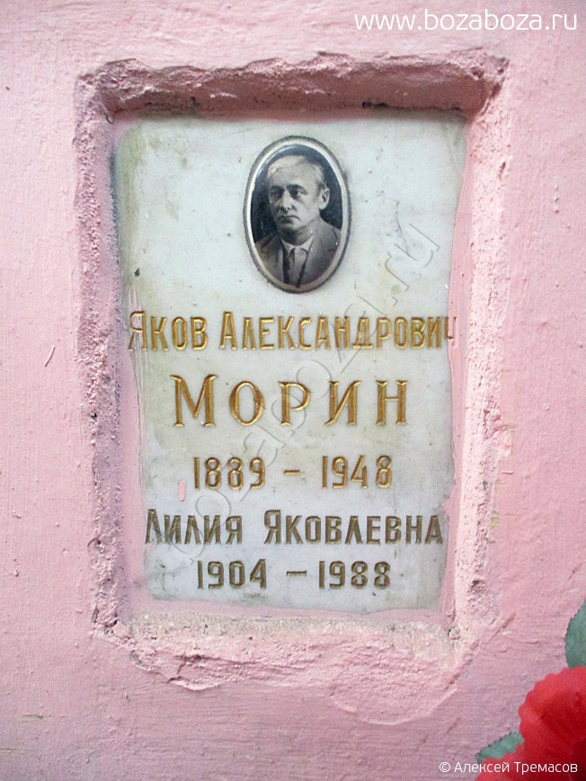 ����� ���� �������������