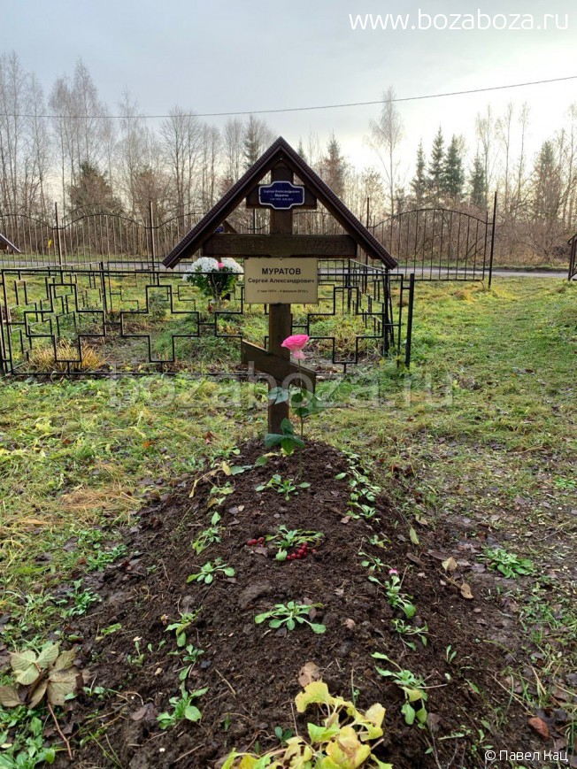 ������� ������ �������������