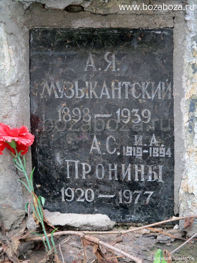 ������ ��������� ��������