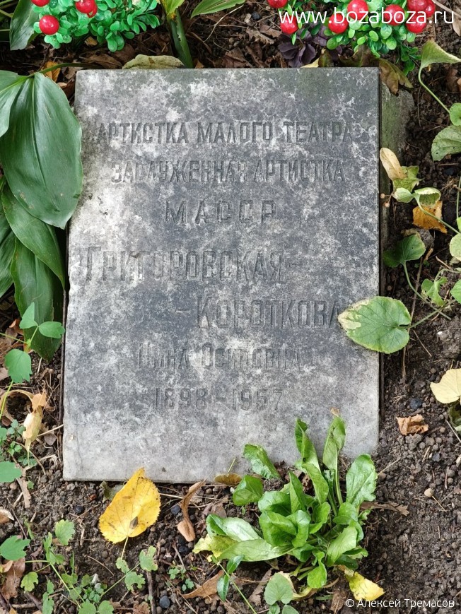 ������������ ���� ��������