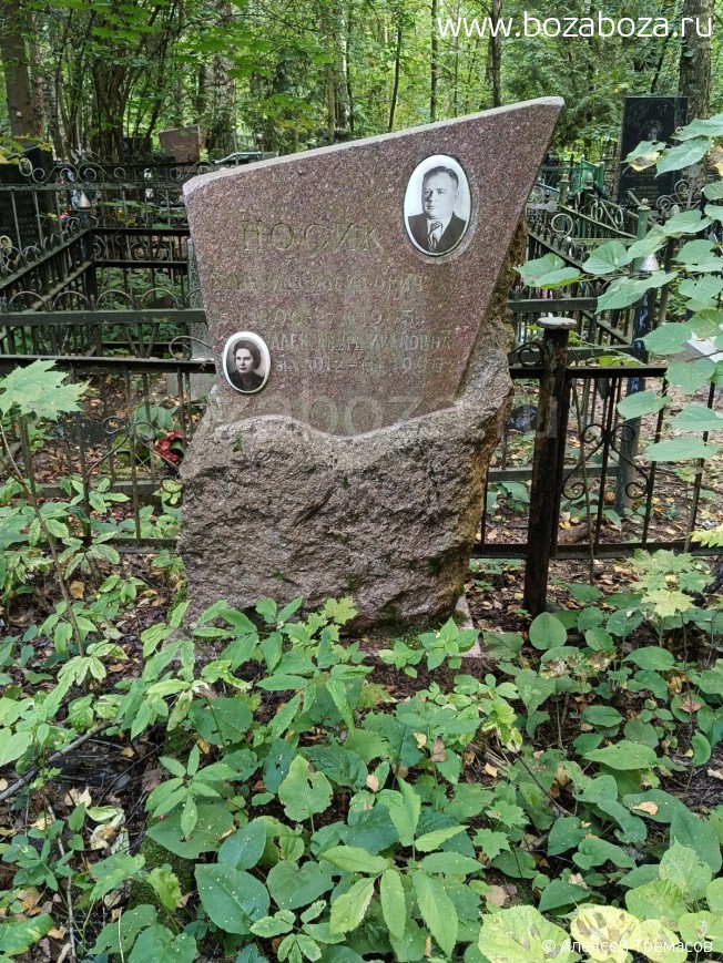 ����� �������� ���������