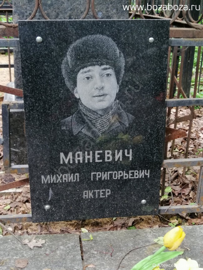 ������� ������ �����������