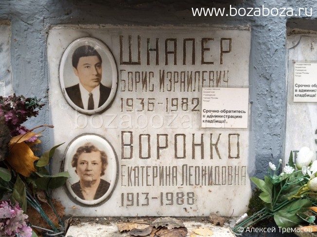 ������ ����� ����������