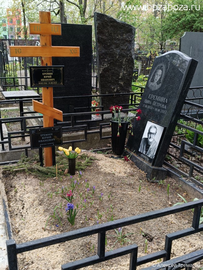 ����� ���� ��������