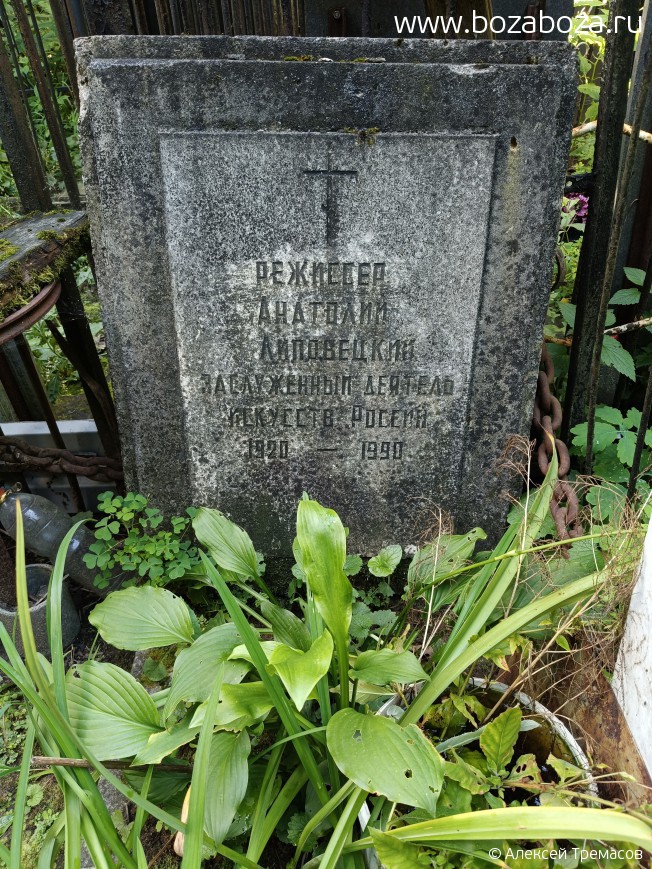 ���������� �������� ���������