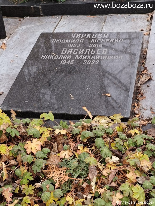 ������ (�������) ������� �������