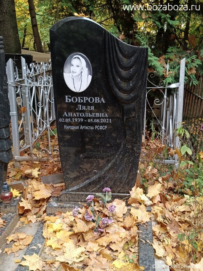 ������� ���� �����������