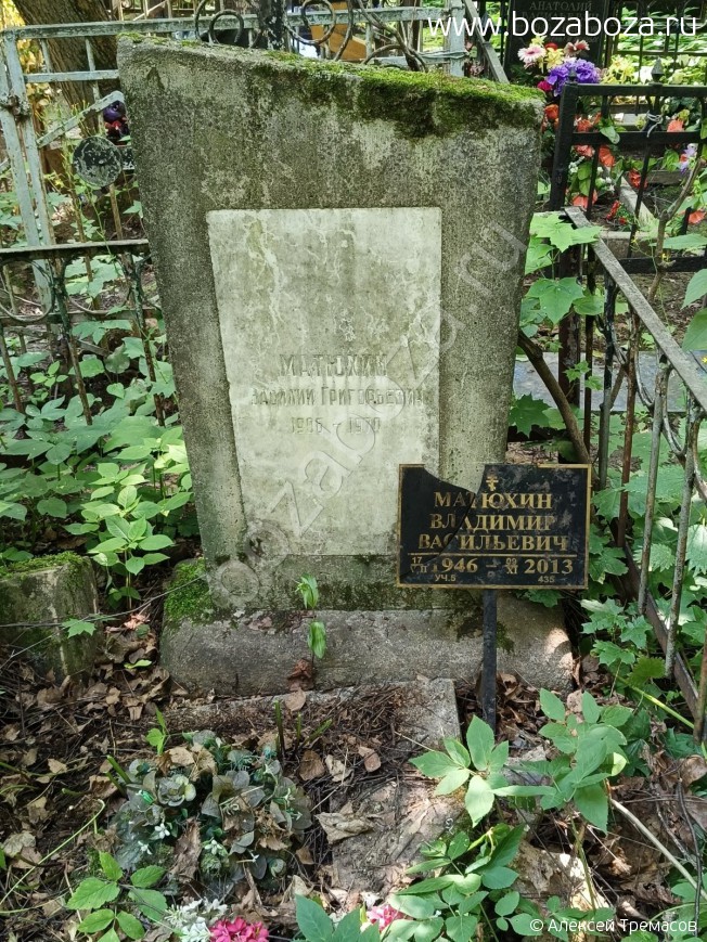 ������� �������� ����������