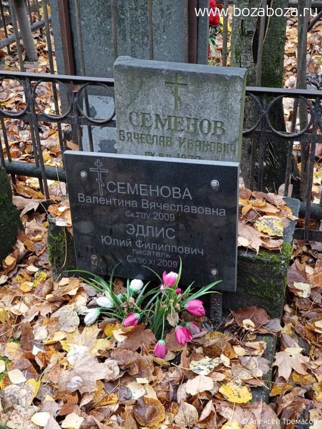 ����� ���� (����) ����������