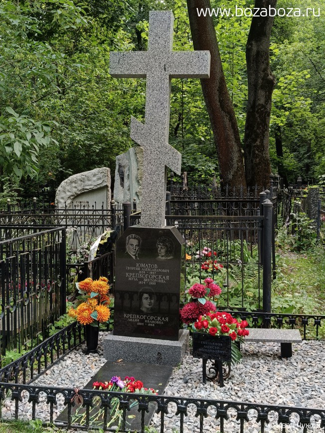 ������������� ���� ����������