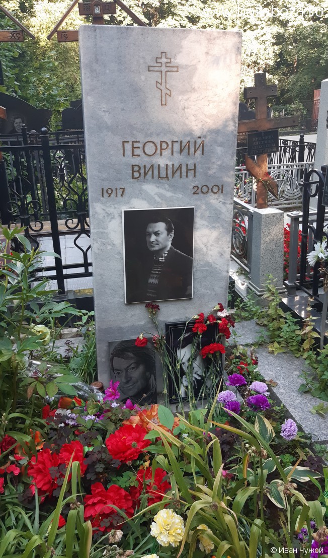 Вицин Георгий Михайлович