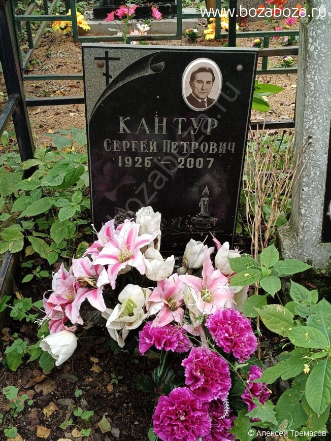 ������ ������ ��������