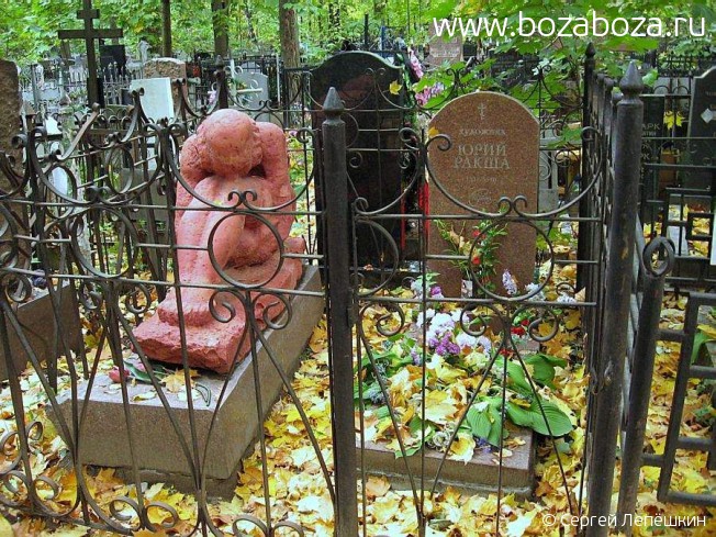 ����� ���� ����������