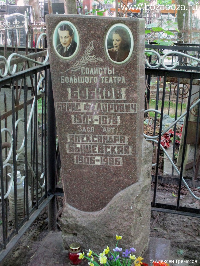   Ը