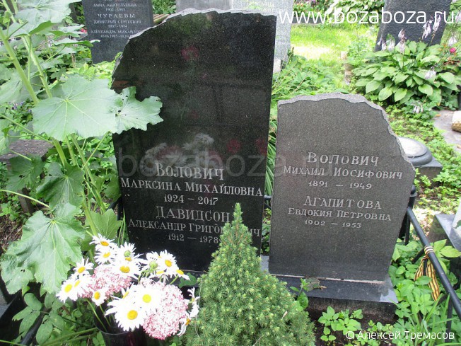 ������� �������� (������) ����������