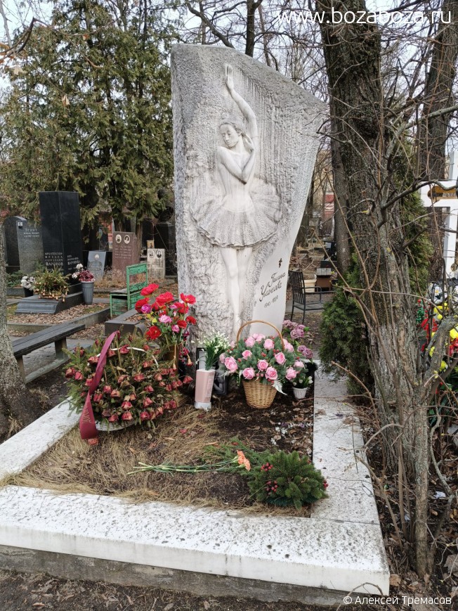 ������� ������ ���������