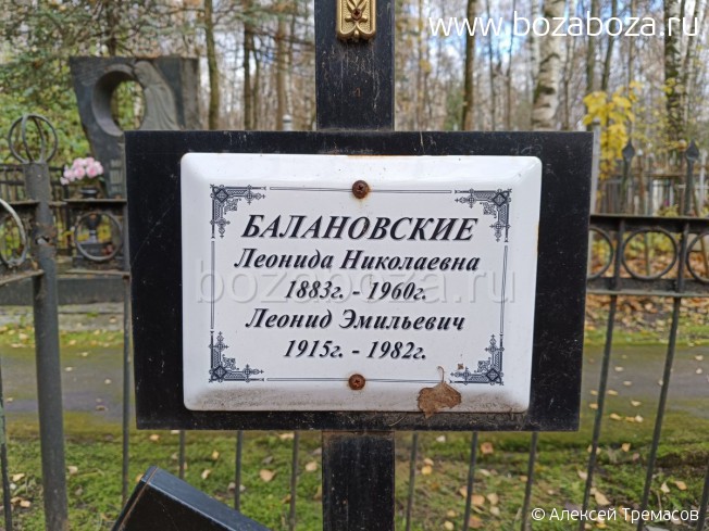 ����������� ������� ����������