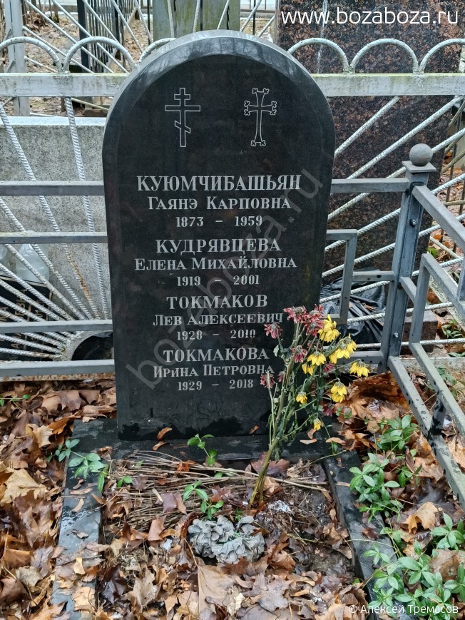 �������� ��� ����������