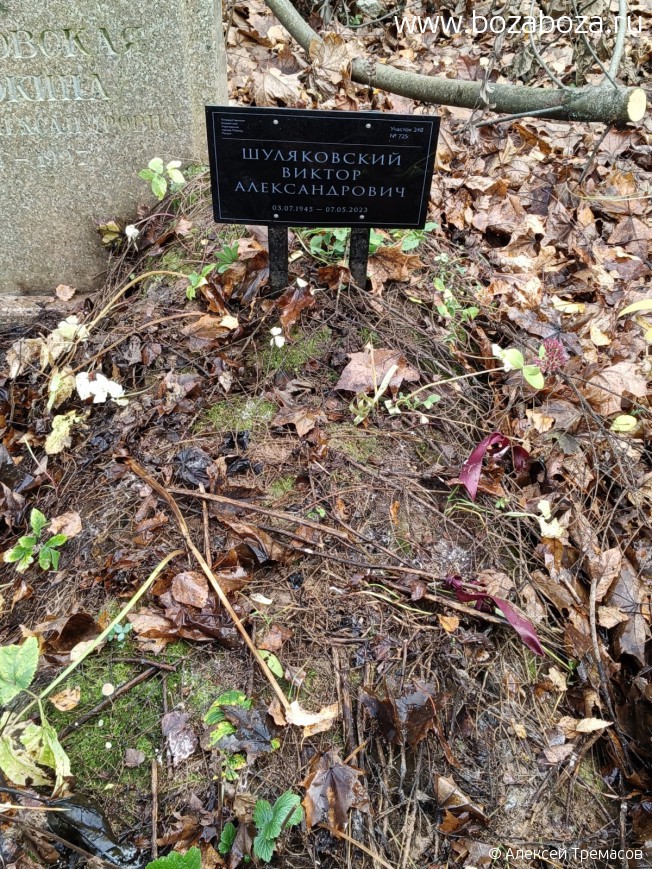 ����������� ������ �������������