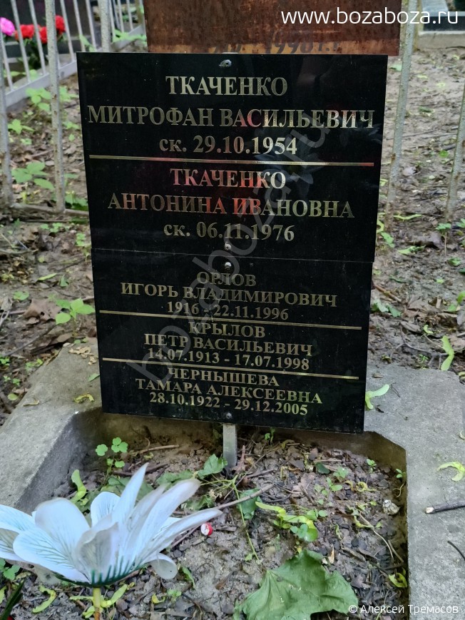  ϸ 