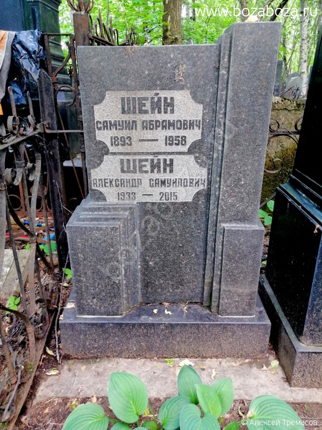 ���� ��������� ����������