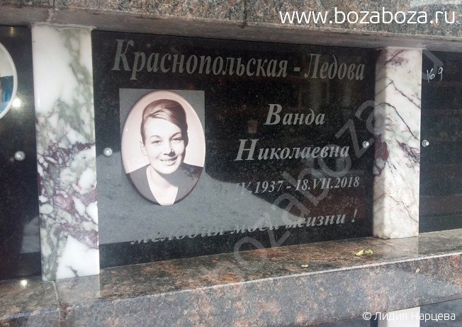 ��������������-������ ����� ����������