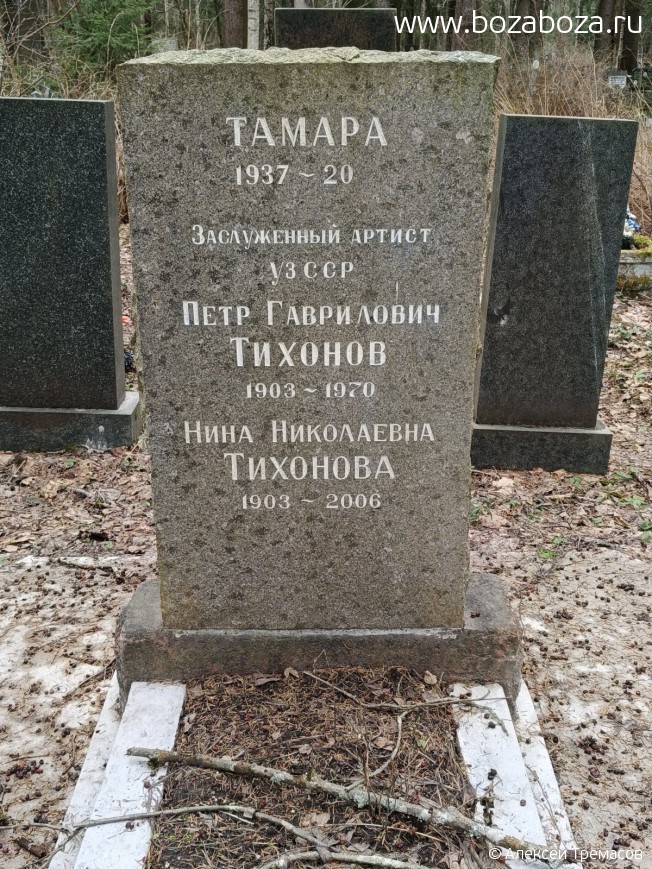  ϸ 