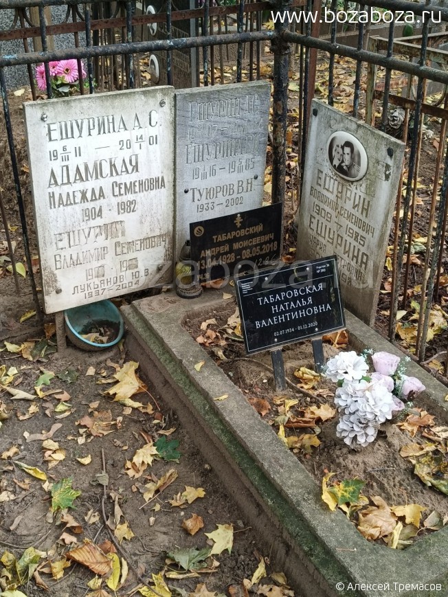 ������ ��������� ��������