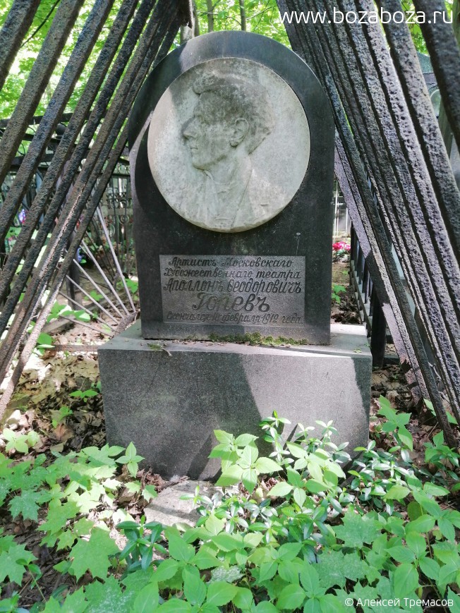   Ը