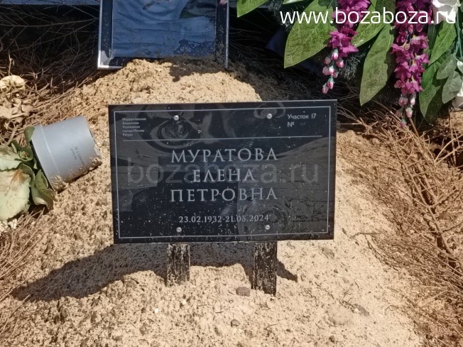 �������� ����� ��������