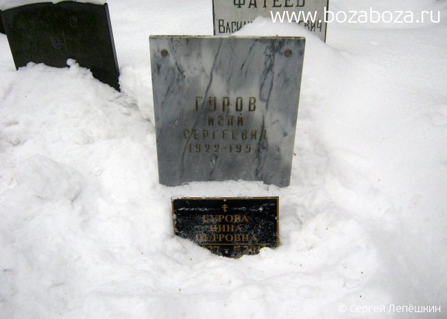 ����� ���� ���������