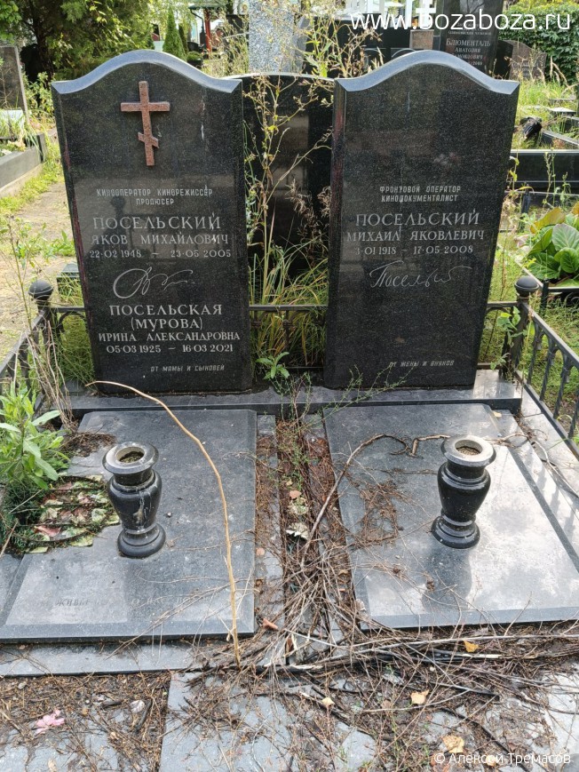 ���������� ���� ����������