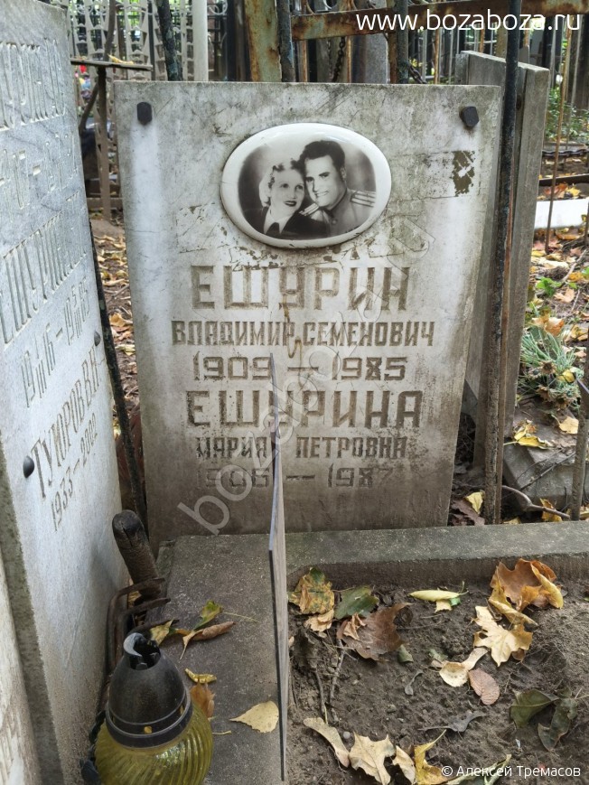 ������ �������� ��������