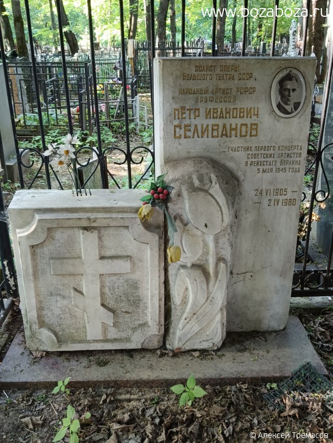  ϸ 
