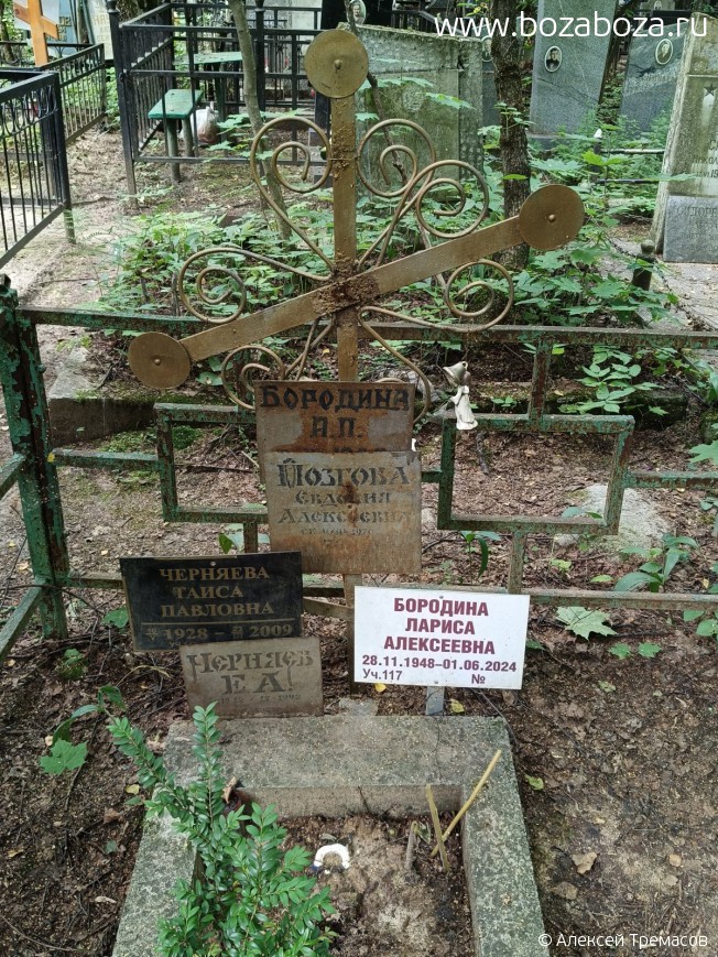 ������� ������� �������������